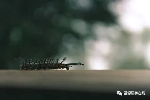 被蚊虫叮咬后需注意预防虫咬皮炎,蚊虫叮咬的皮炎是什么症状