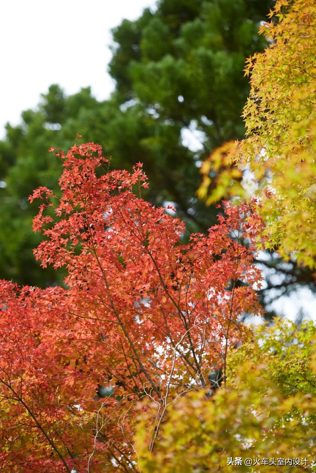 kerryhill,kerryhill京都安缦