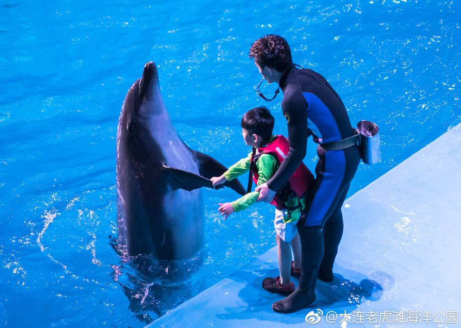 海滩再现绝美荧光海宛如蓝色星河,成都荧光海滩