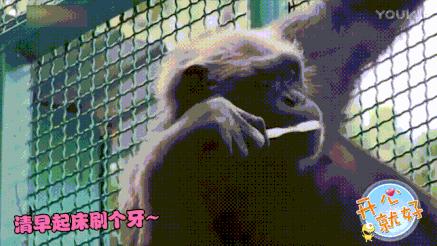 老中医遗留下的健康养生口诀,老中医传授一生不得病的秘诀