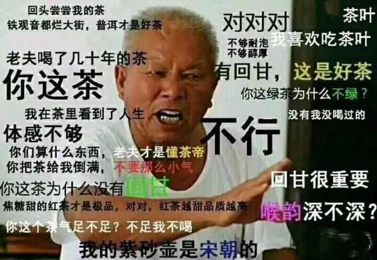 红茶硬核知识,硬核茶谈