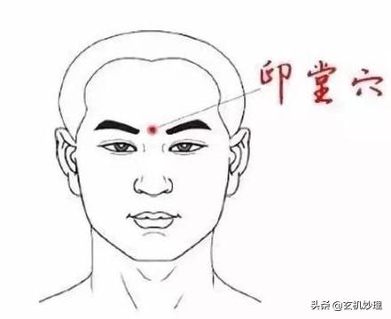 哪种面相的人最能聚财运,能聚财的面相有哪些