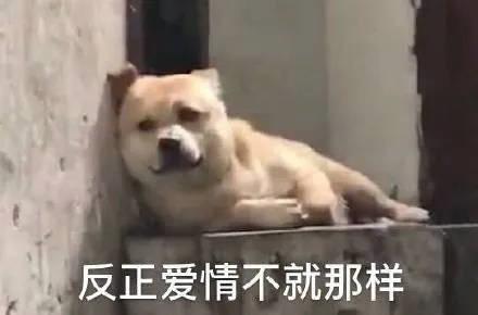 隔壁老王游戏,隔壁老王电脑游戏