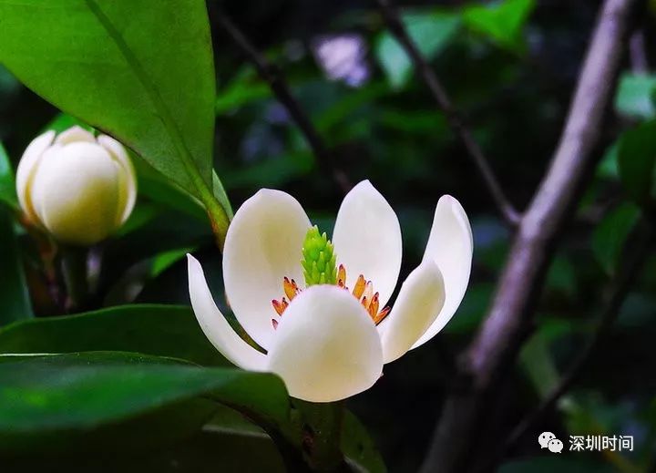 彭孙遹诗文,彭孙遹作品大全