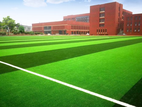 viva深度解析,威腾免填充草坪系统