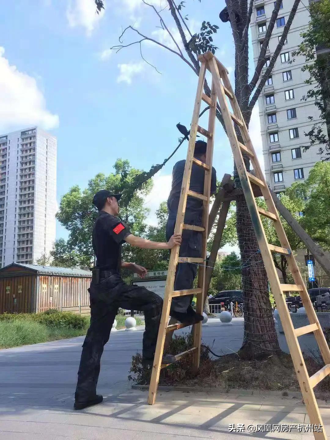 烟花过境宁波,烟花过境淮北