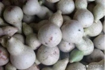 葫芦怎么晒成葫芦干不发霉,文玩葫芦保养与盘玩