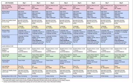 加拿大网课VS中国网课：一种病毒，两种环境，各有一番滋味在心头
