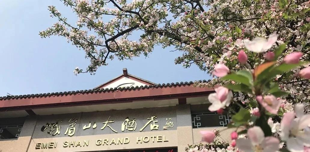 千呼万唤的套餐,峨眉山金顶酒店优惠价