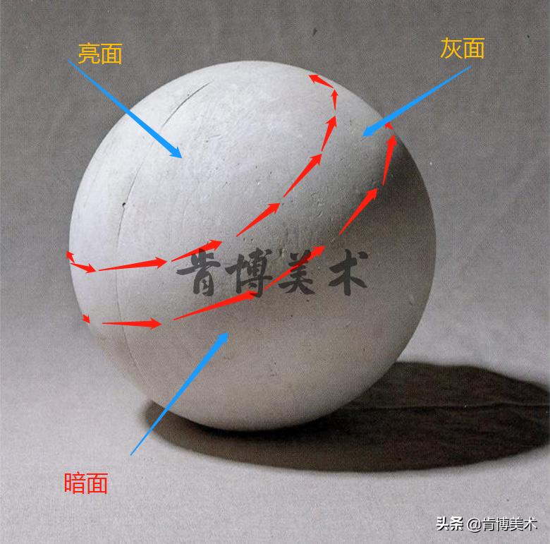 素描基础知识三大面五大调子教案,素描的三大面五大调子