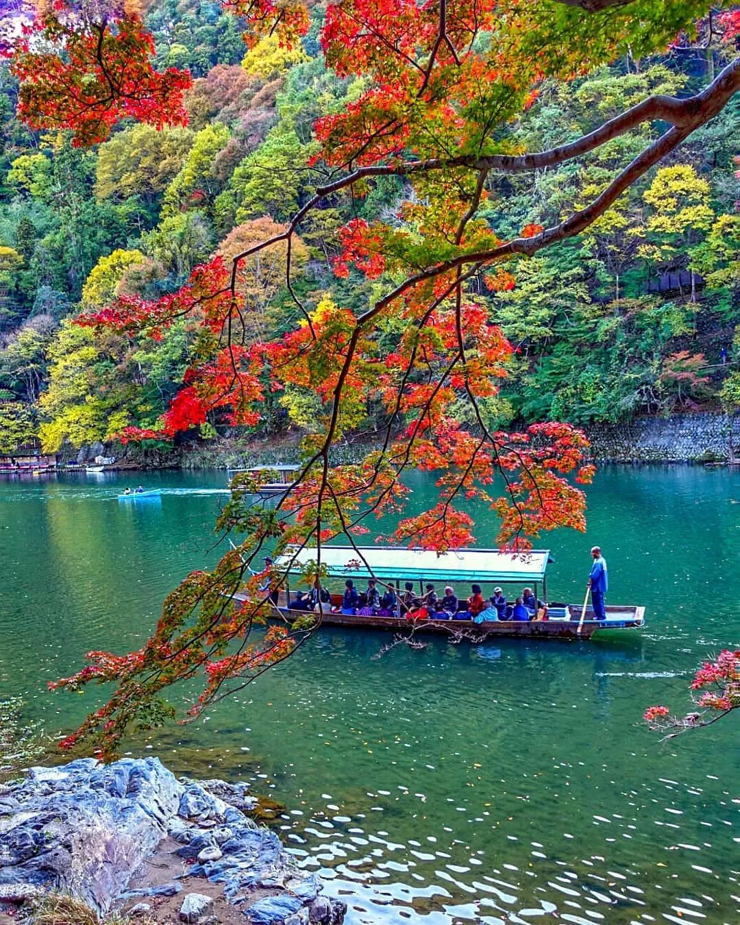 停车坐爱枫林晚风景,停车坐爱枫林晚季节