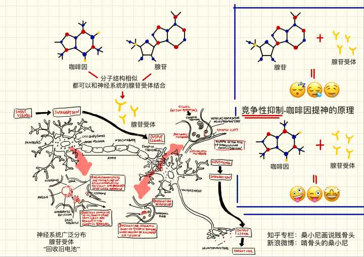 如何改善敏感心理,如何治疗心理过度敏感