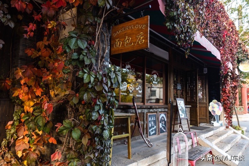 不想出门看人山人海只想在家,不想看千篇一律的风景