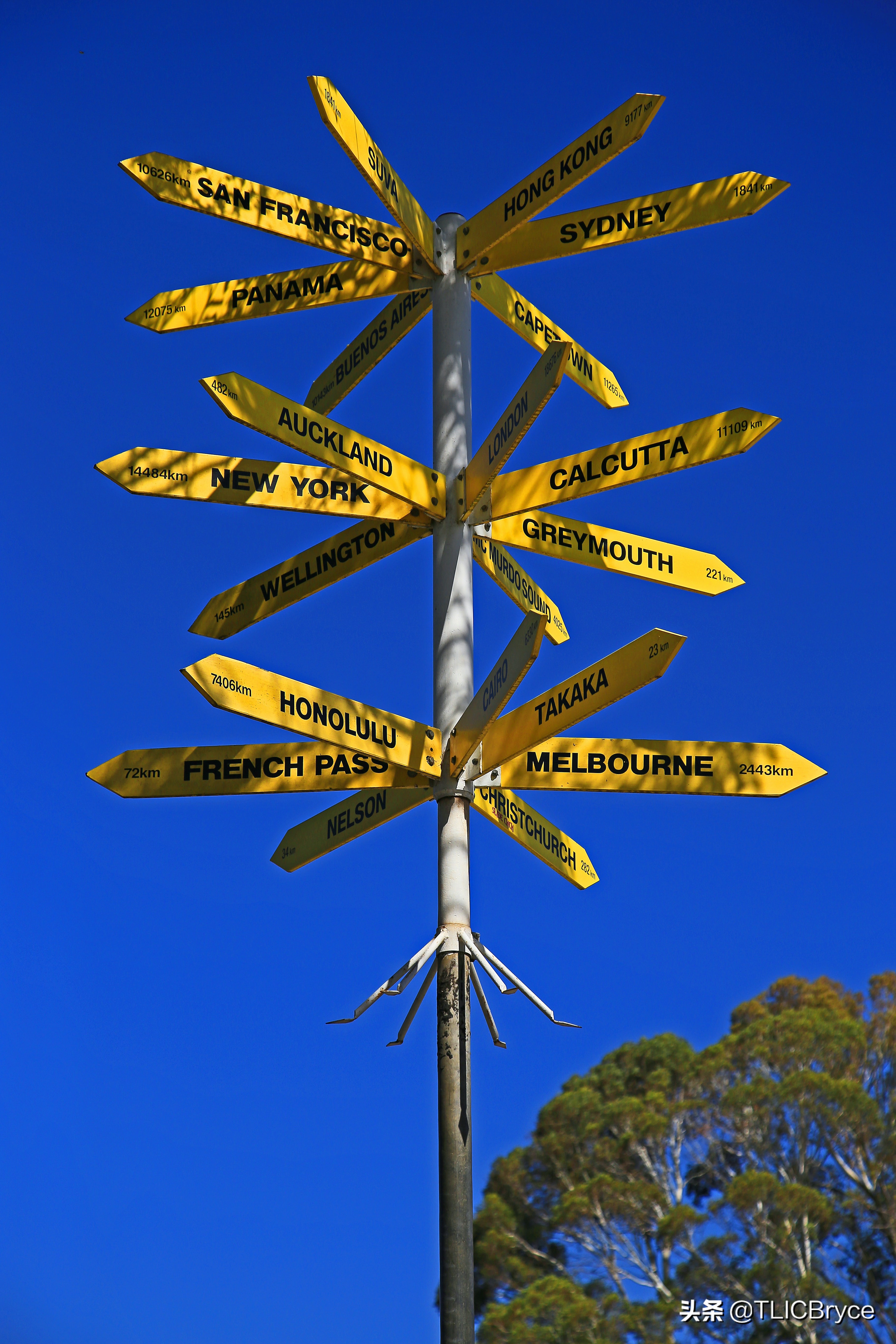 移民中介的软文到底有多*脑洗**：只要是个国家教育质量都比中国好