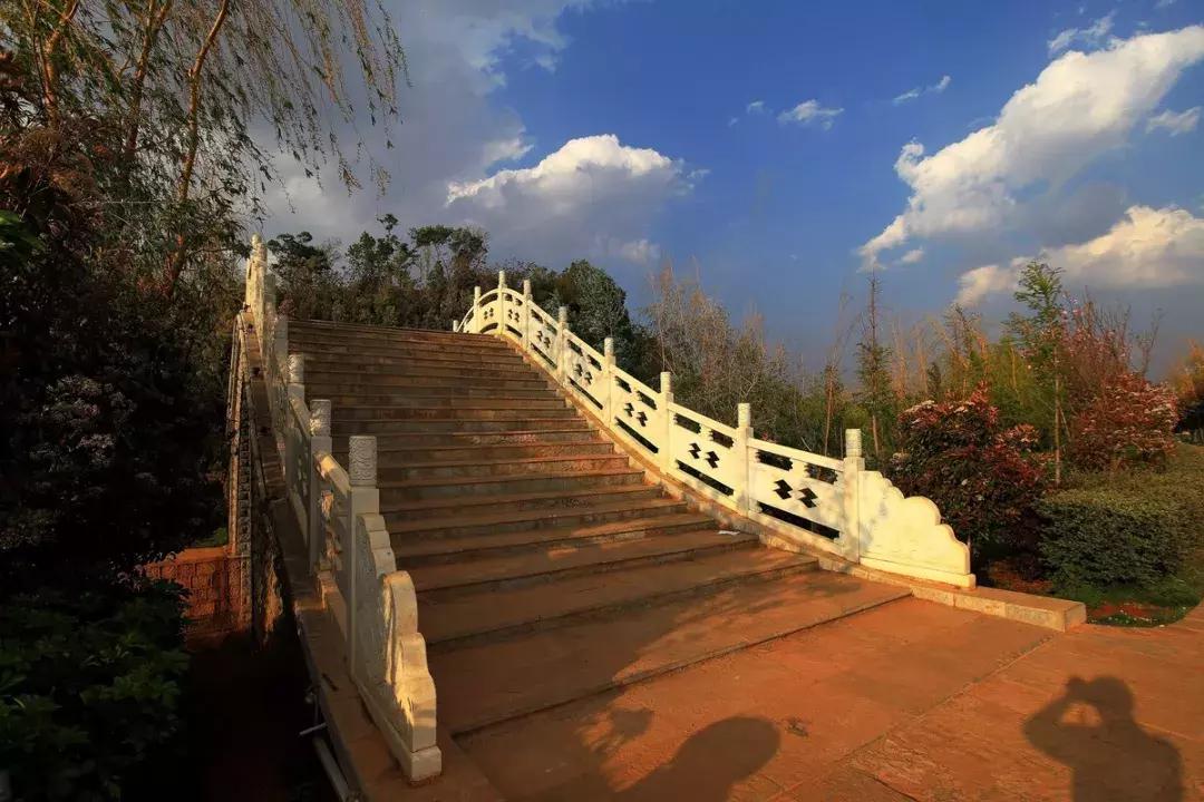 未来昆明发展潜力最大城市,昆明和青岛哪个城市发展潜力大