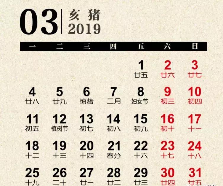 2019年男性挂历,2025年精美挂历