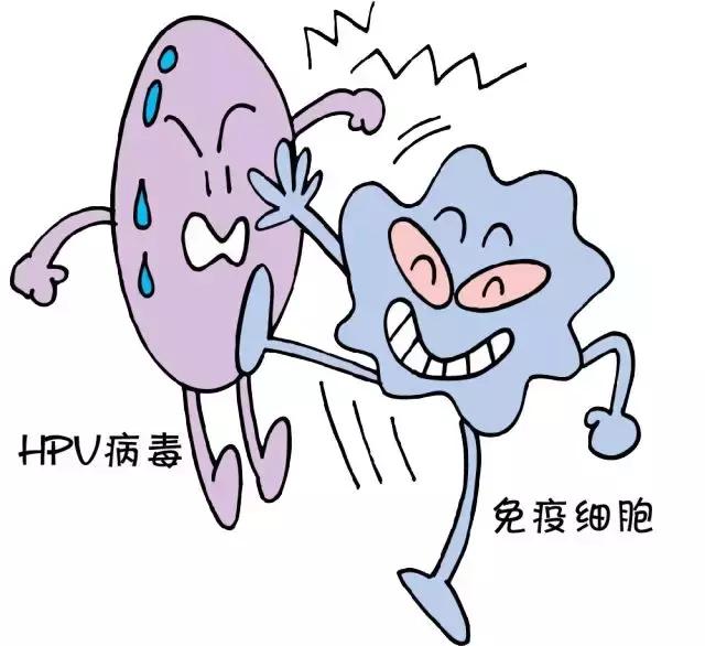 HPV是个什么鬼，感染了HPV就会得宫颈癌吗？