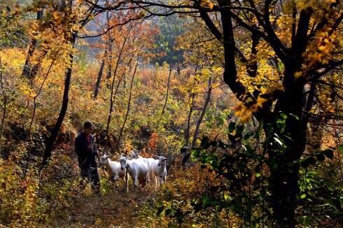 河南省平顶山市尧山风景区,平顶山尧山和洛阳老君山