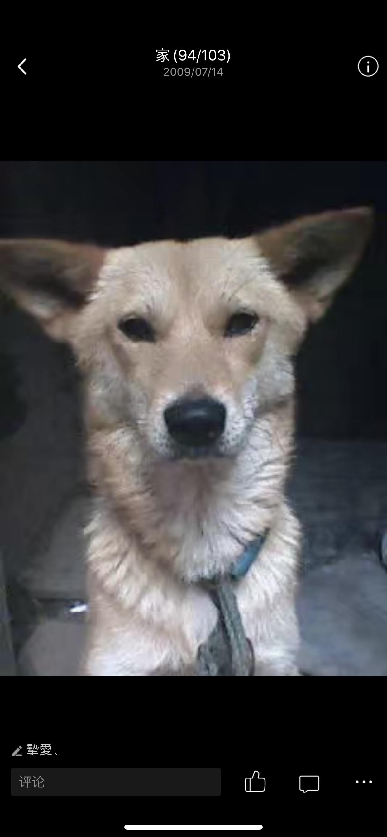 我和摄影的约定,我与摄影中的感悟