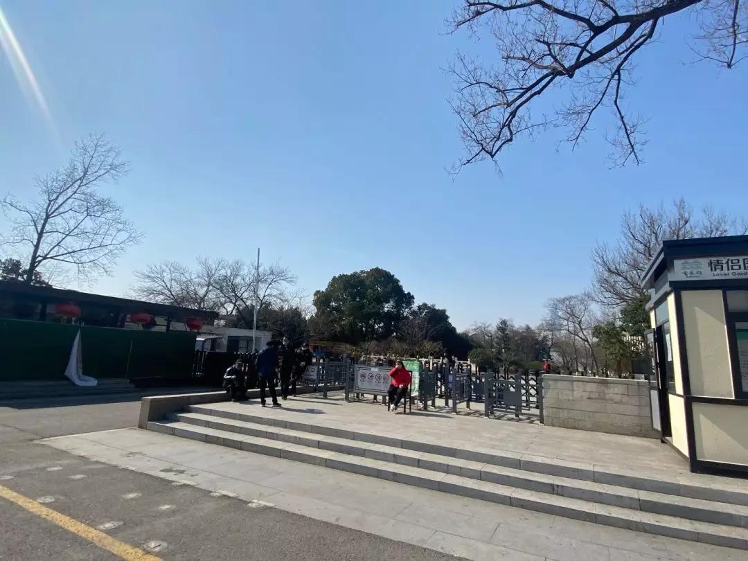 南京复工复产,硬核复工碧桂园