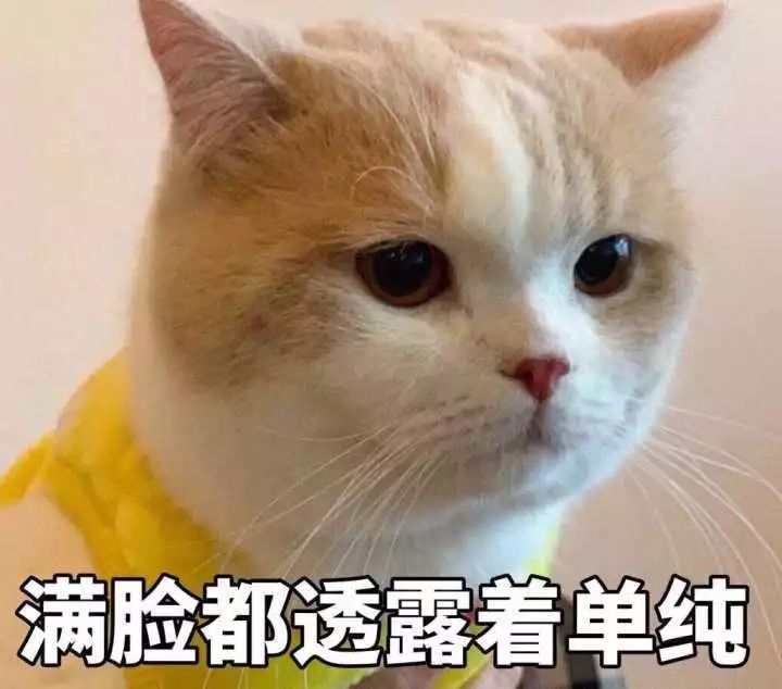 网贷被骗处理方案2020,警方提醒网贷诈骗九种陷阱安全