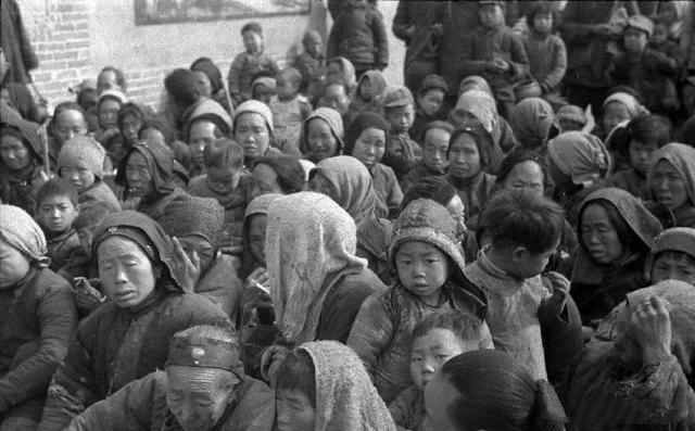 山西老鹳窝大槐树移民,大槐树上的老鹳窝