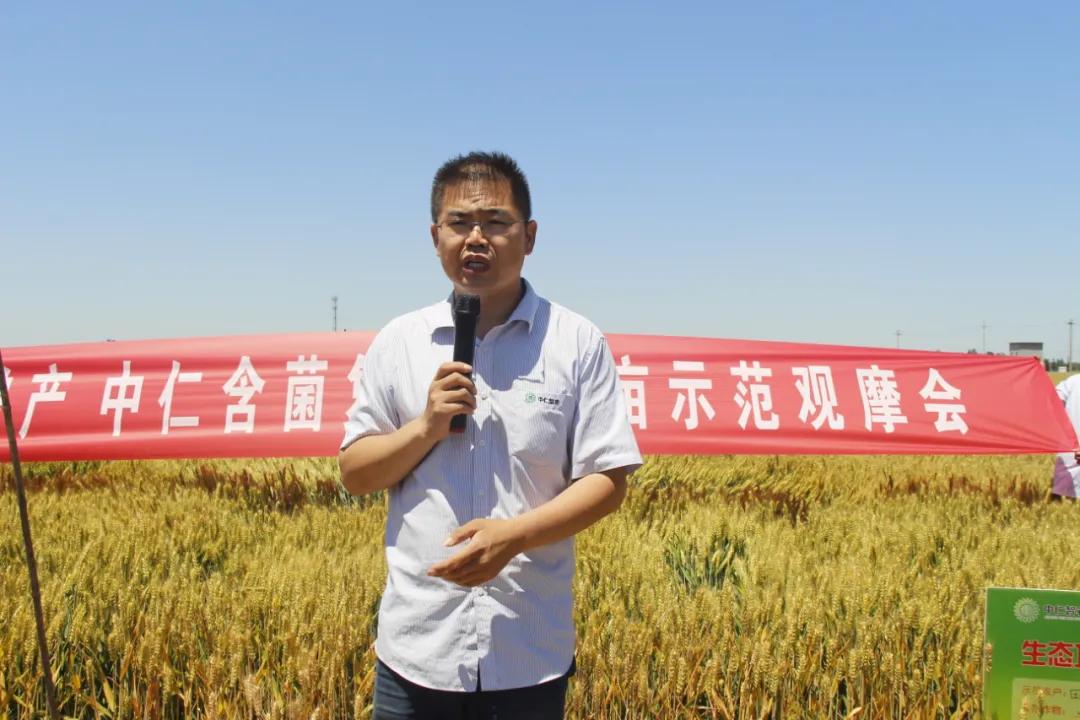 中仁含菌复合肥,中微量元素肥料让您放心省心