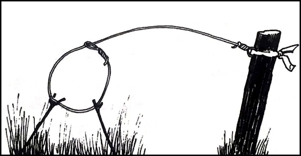 硬核保命指南,豆瓣评分6.7的书该不该看