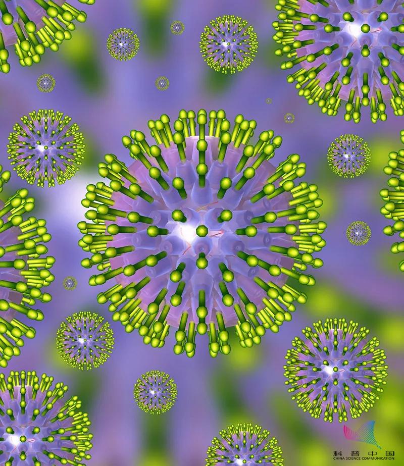 五岁儿童感染单纯疱疹病毒死亡，医生特别提醒：不要随便亲吻孩子