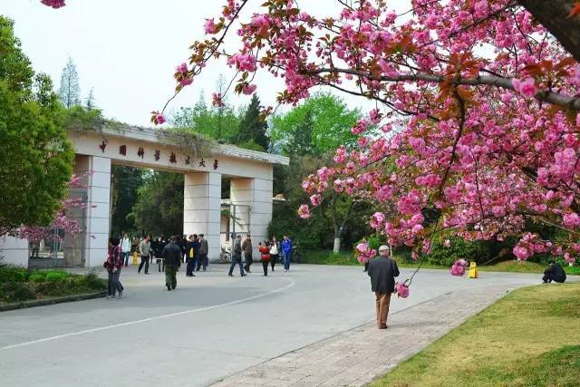 「合肥工业大学」优势学科、热门专业及报考建议