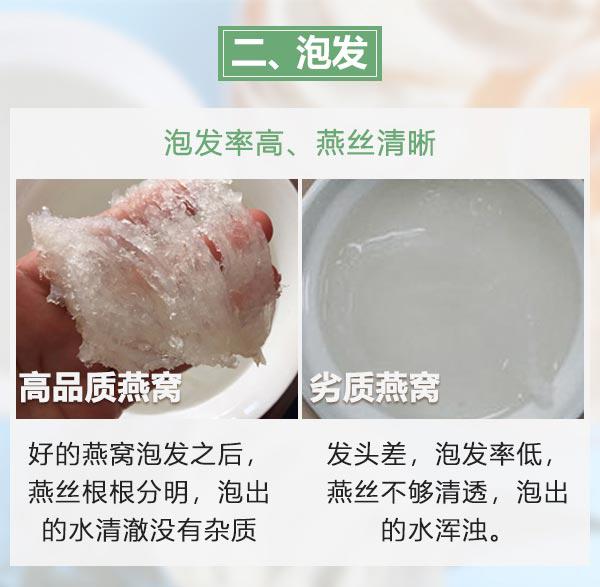 印尼产的燕窝是真的吗 (燕窝最好的产地为什么是印尼)