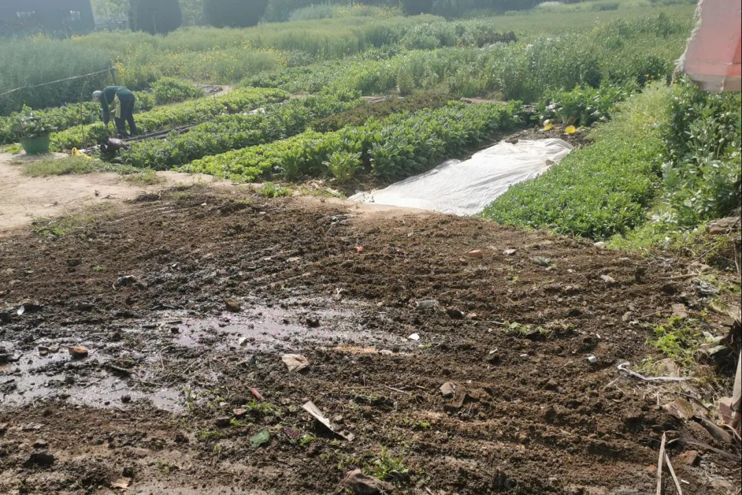 出村门口就是旅游景点,出家门就是风景