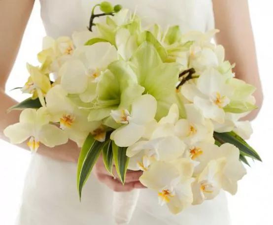 每日送花花语,花语大全送花的讲究