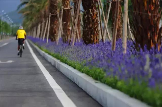 三亚轻奢度假酒店,三亚十大最豪华的度假别墅