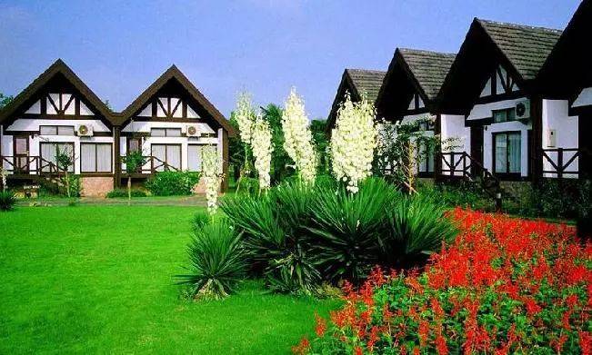 上海旅游攻略必去景点大全,上海玩耍景点推荐