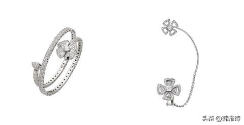 宝格丽欢沁玫香寓意,宝格丽永恒的花