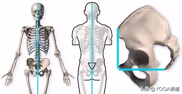 练瑜伽怎么改善一弯腰就拱背,瑜伽如何纠正骨盆旋转和侧移
