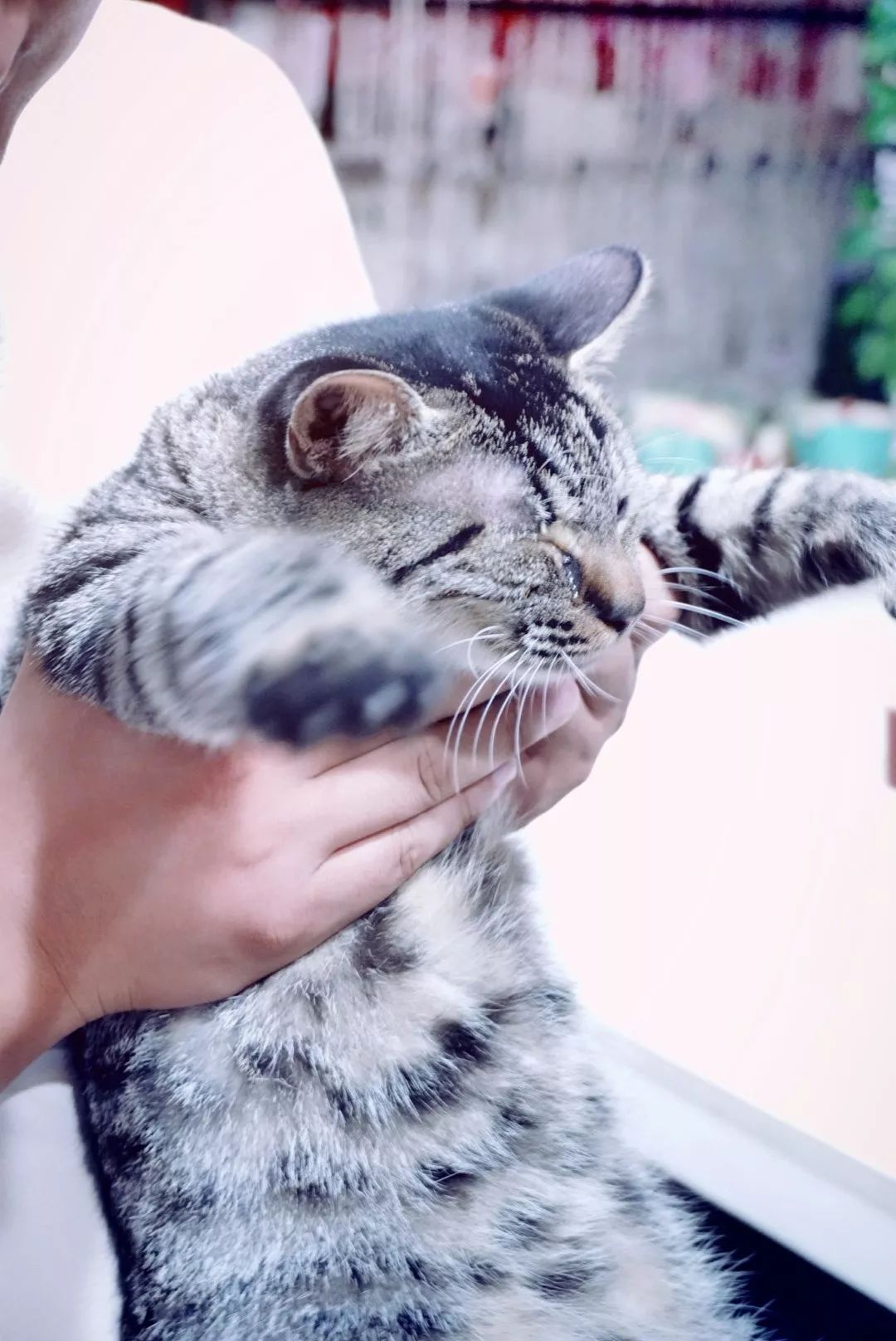 恒隆对面街店铺推荐,恒隆广场对面的甜品店