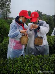 家长评价学生成绩有进步,家长分享孩子英语进步