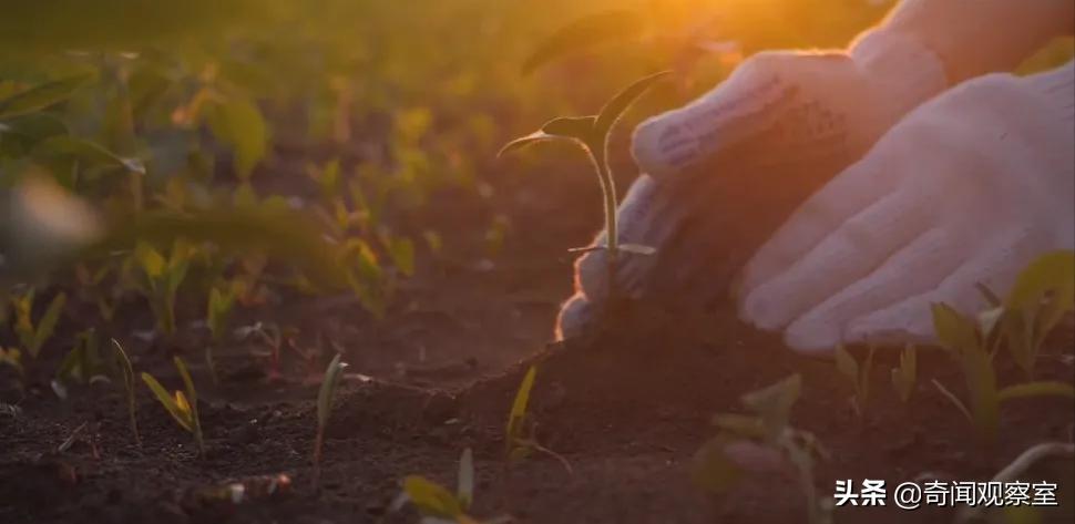 全球十大恶人榜榜首，号称“本拉登第二”，却2次成功越狱