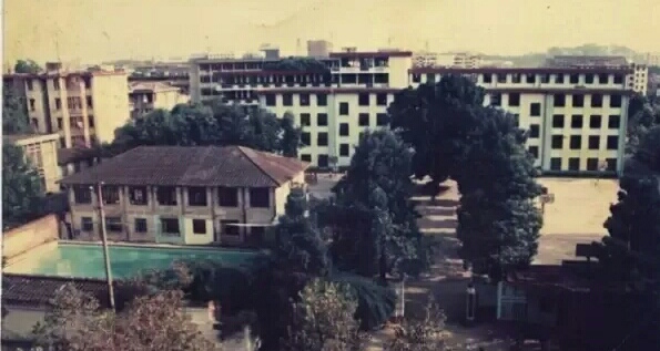 福州三中最厉害的老师,福州三中刘敏老师