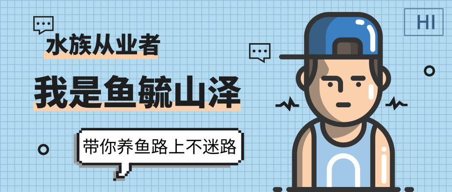 水族水草知识分享,分享养鱼干货