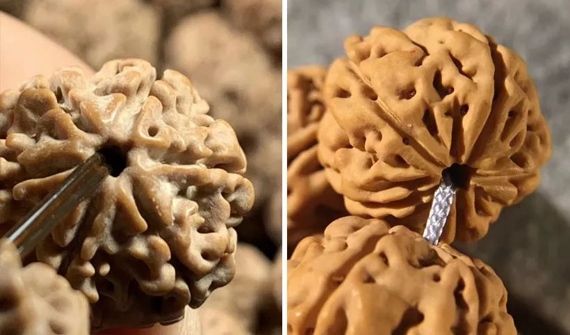 大金刚好还是小金刚好,大金刚和小金刚哪个可玩性高