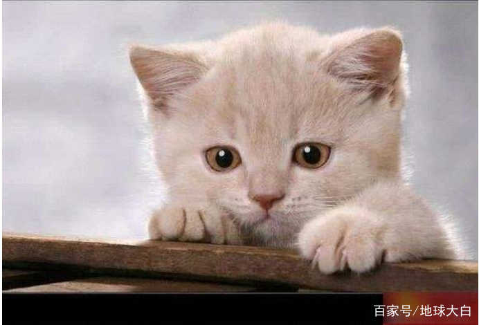 表达我很高兴的英语句子,表达我很开心的话