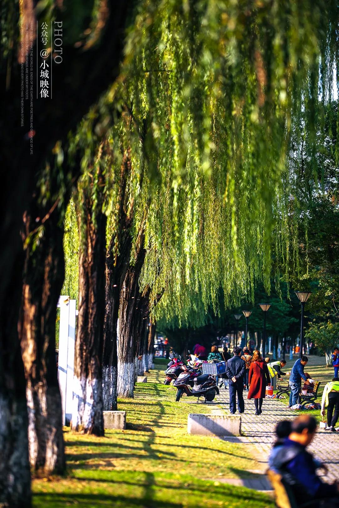 郫县是怎么发展起来的,郫县区为什么这么出名