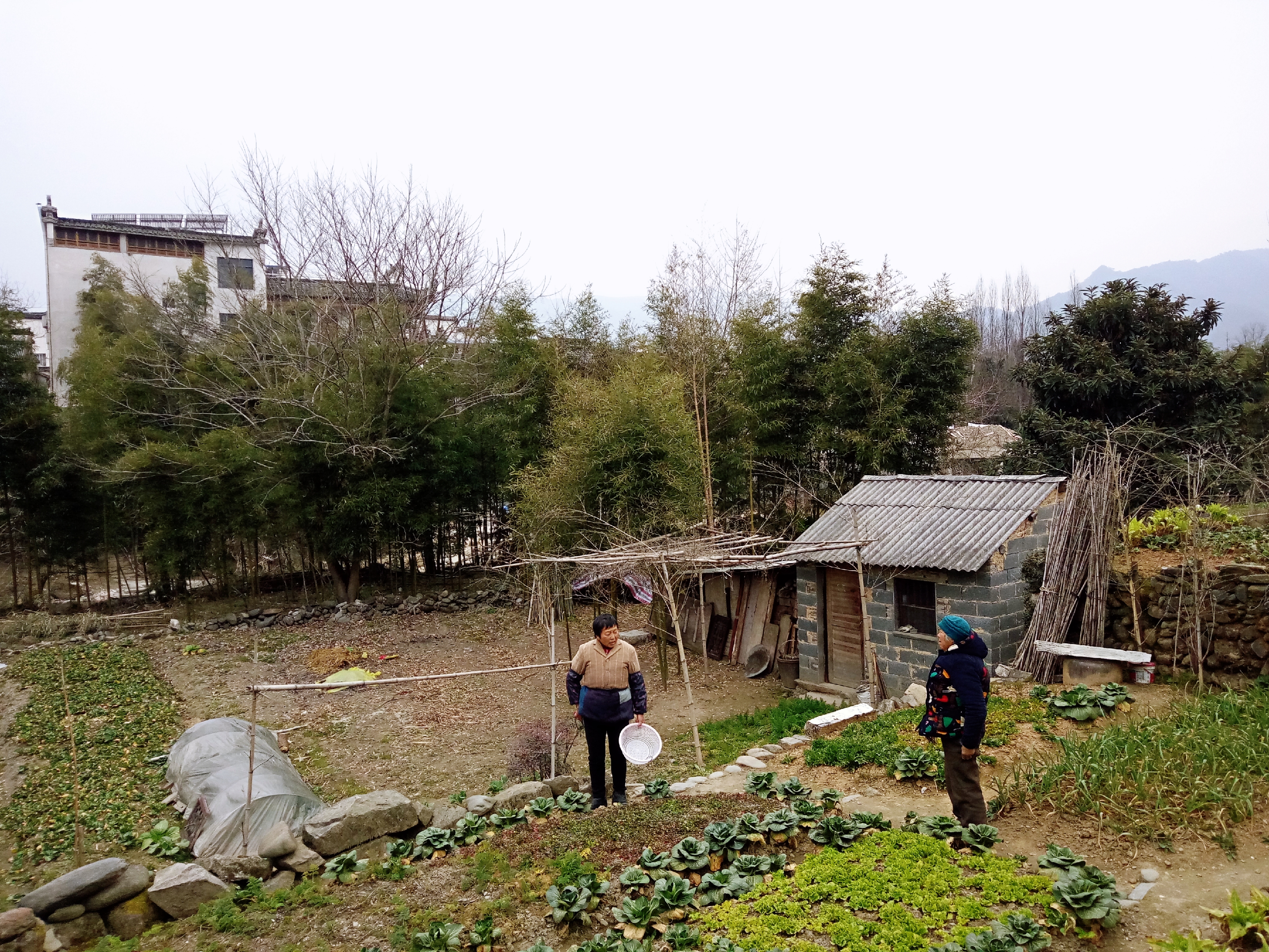 徽派村落宏村风景,山为牛头树为角的意思