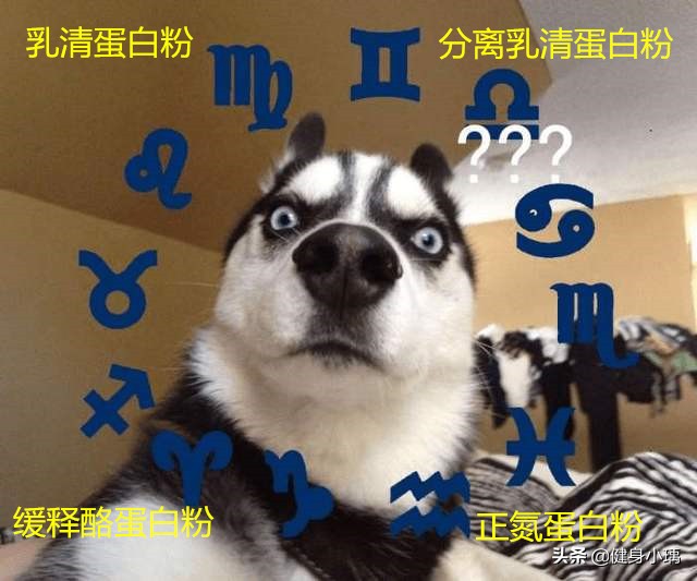 健身补剂蛋白粉控制在多少最好,健身小白蛋白粉和补剂选择