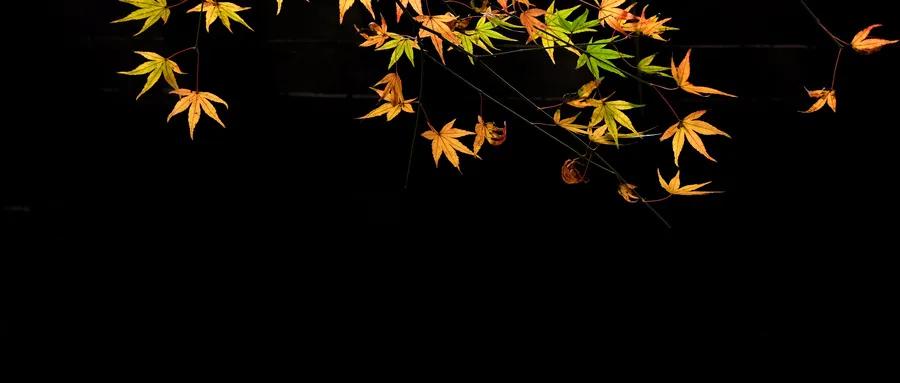 知识手册丨全面了解卵巢癌，点这里