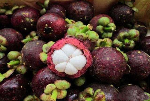 怎样的山竹才是能吃得好山竹,挑选好又甜的山竹方法介绍