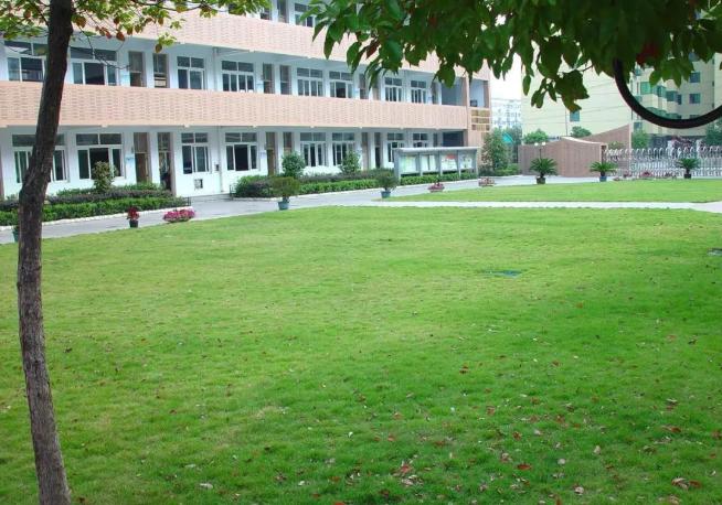 5+4和6+3的课本一样吗,宁波5+4跟6+3模式教材一样吗